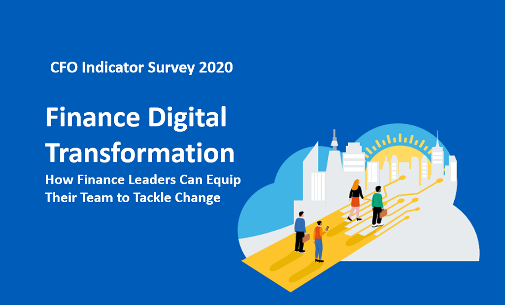 CFO Indicator Survey 2020 2 CFO Indicator Survey 2020