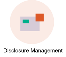 icon-disclosure-management-2